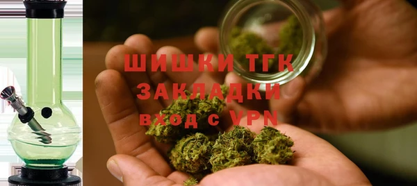 PSILOCYBIN Гвардейск