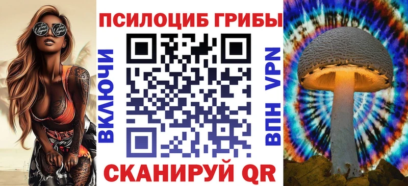 Галлюциногенные грибы Psilocybe  продажа наркотиков  Горбатов 